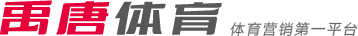 收入上的巨